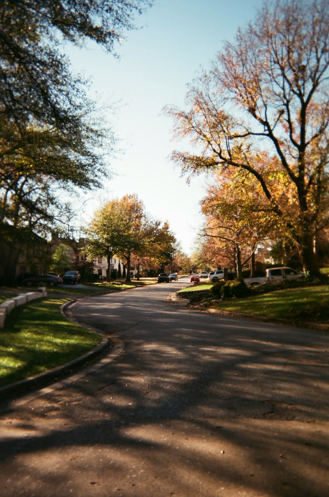 cozy senior neighborhood